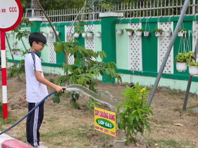 Tổng kết hoạt động “Tết trồng cây nhớ ơn Bác Hồ” và chào mừng Đại hội Đảng Toàn quốc lần thứ XVI năm học 2025 - 2026