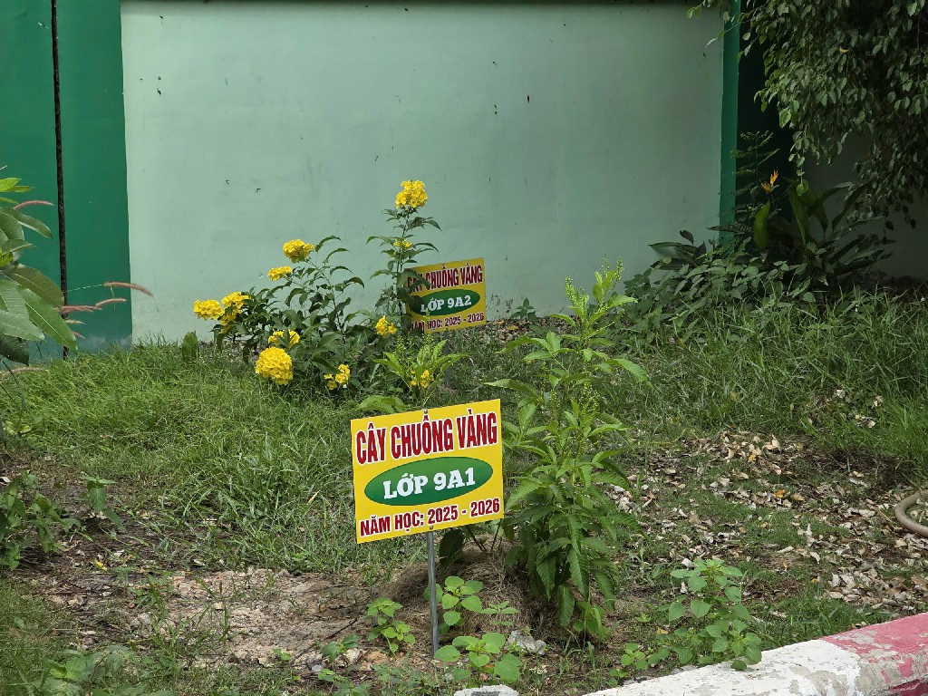 z7663041147518 42ce464670c106aed7961e33f36144fc