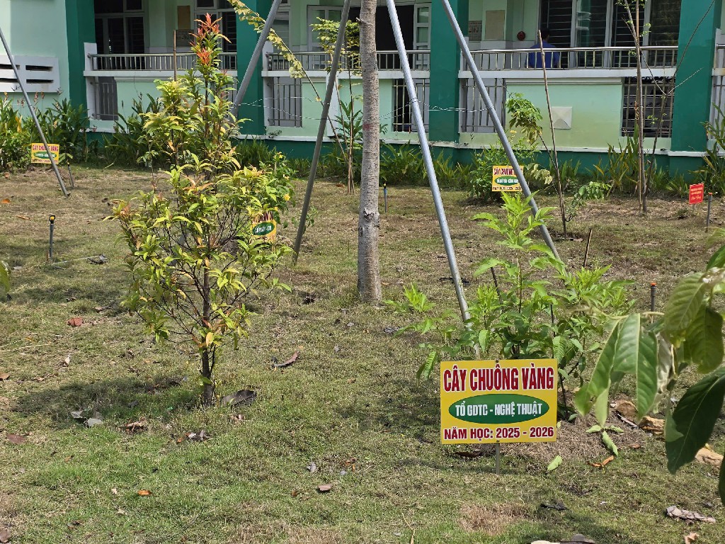 z7663041151837 bfaa82fa335676aeed278db023ae67e9